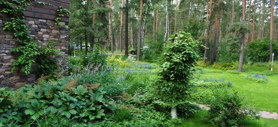 Лесной участок натургарден