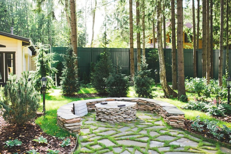 Ландшафт лесного участка