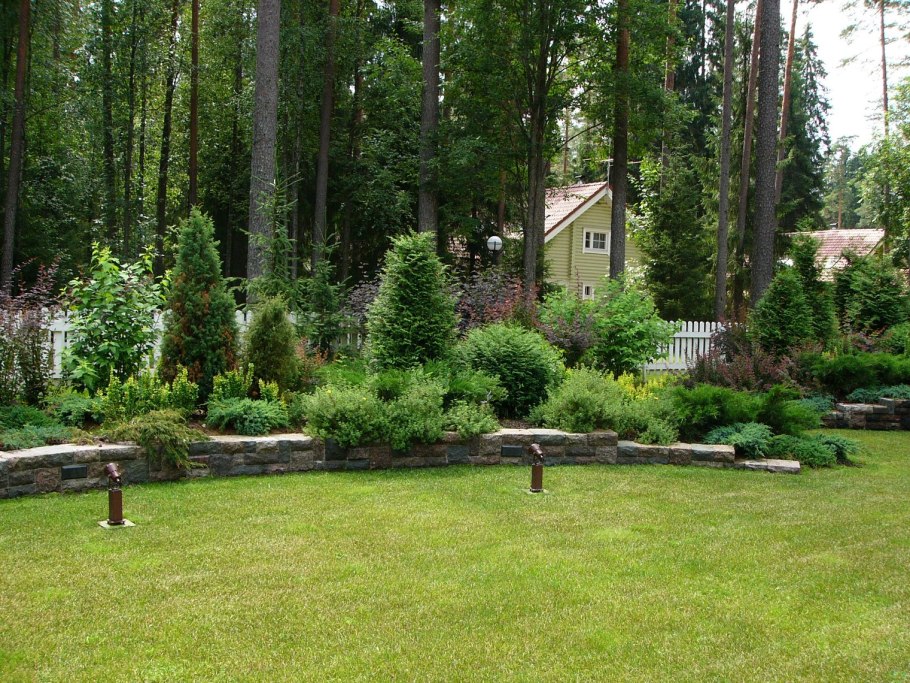 Планировка участка с соснами