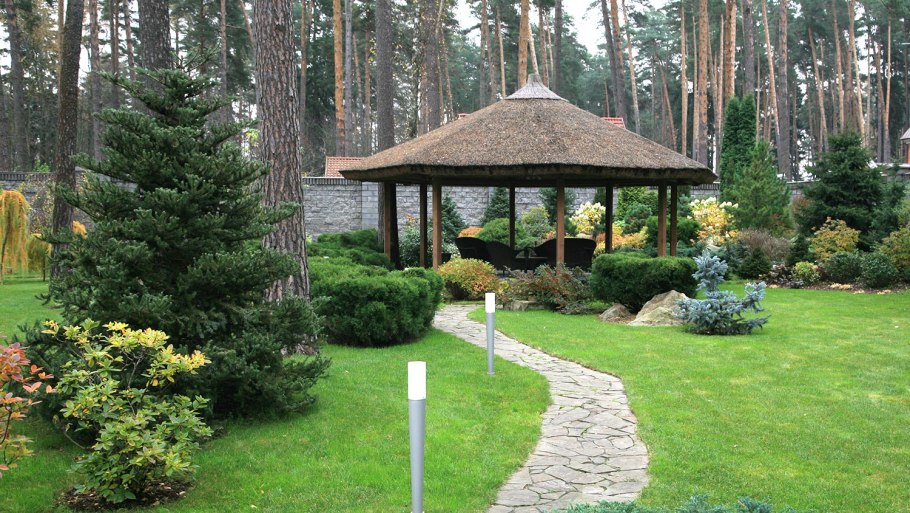 Хвойники возле беседки