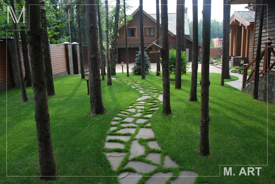 Деревья на участке