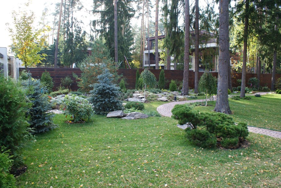 Ландшафт лесного участка с соснами Урал