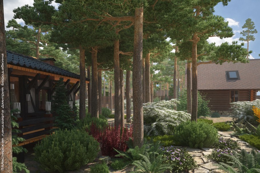 Мастерская ландшафта Дмитрия Бородавкина