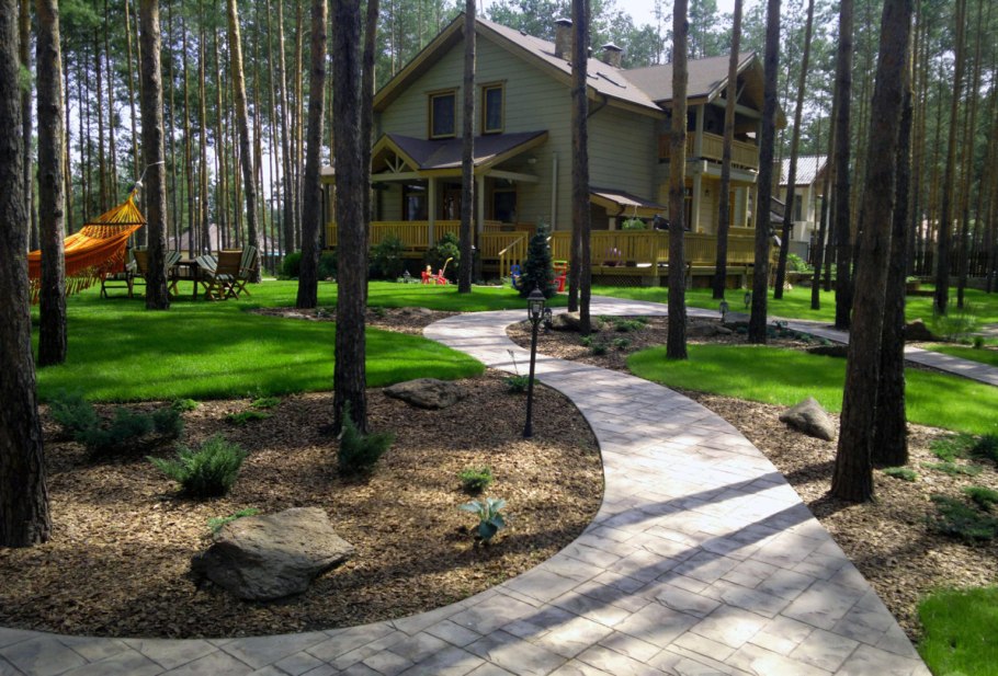 Ландшафт лесного соснового участка