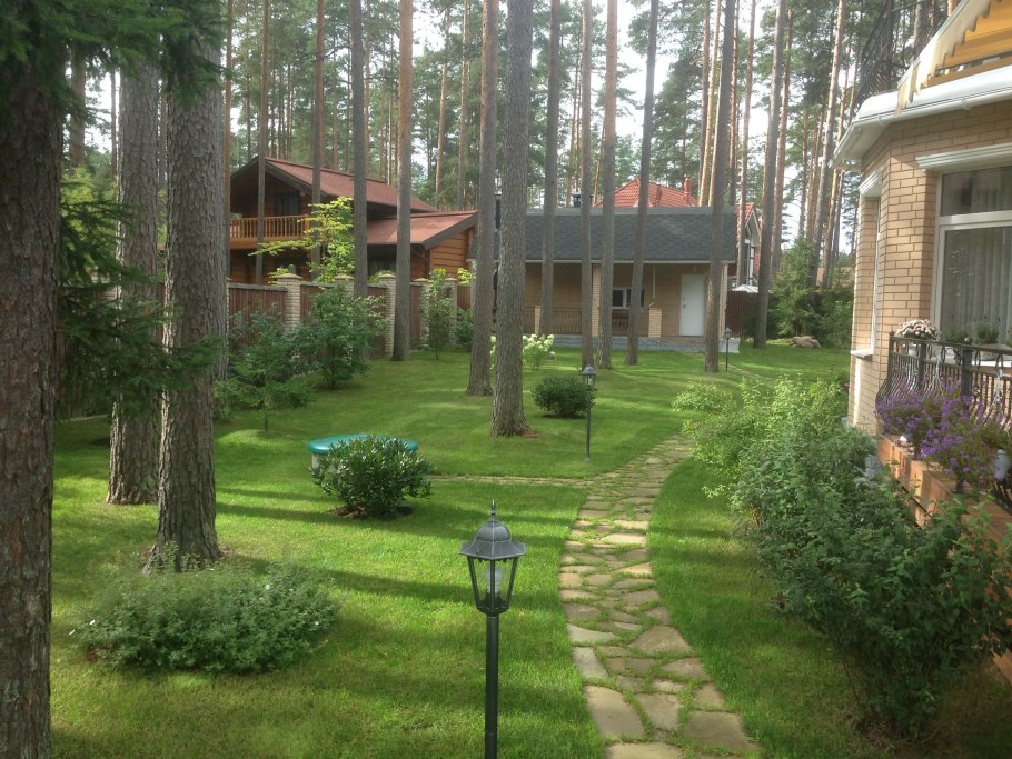 Ландшафт лесного участка 30 соток