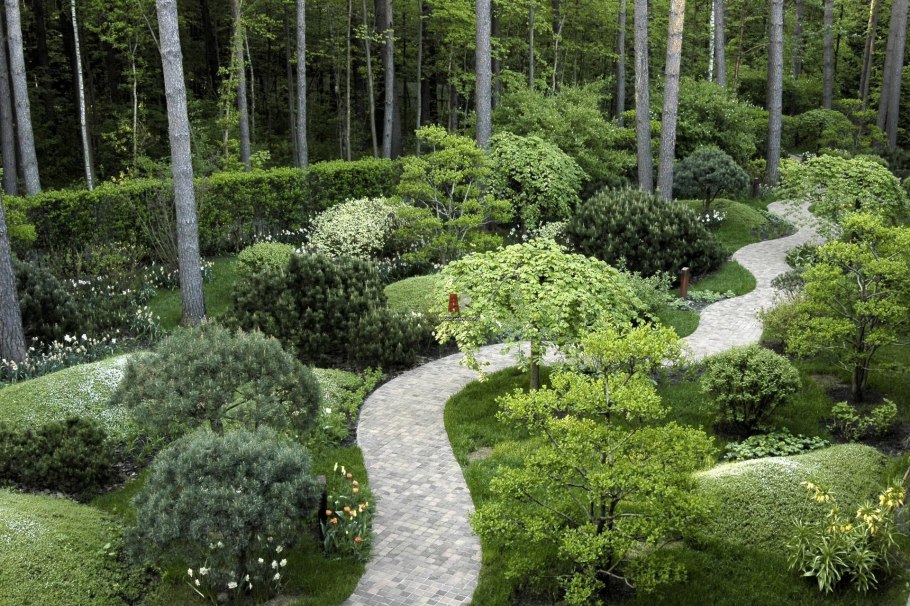 Хвойники в Лесном ландшафте