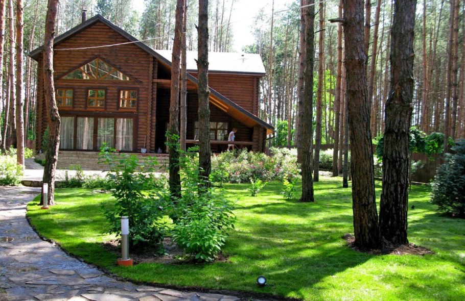 Ландшафт участка с соснами 15 соток