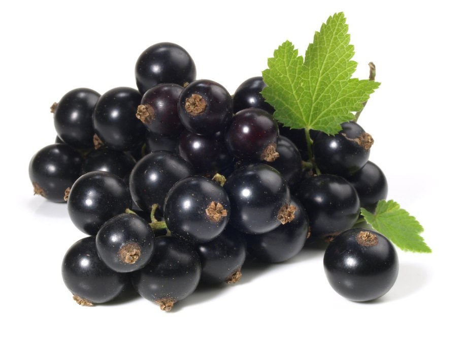 Смородина ягода