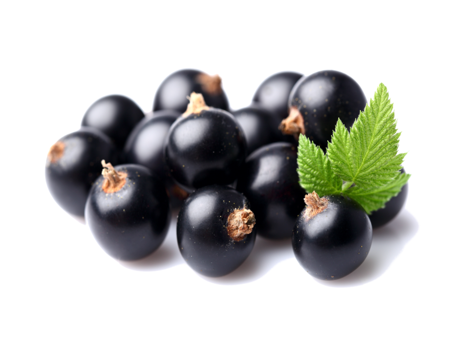 Черная смородина на прозрачном фоне
