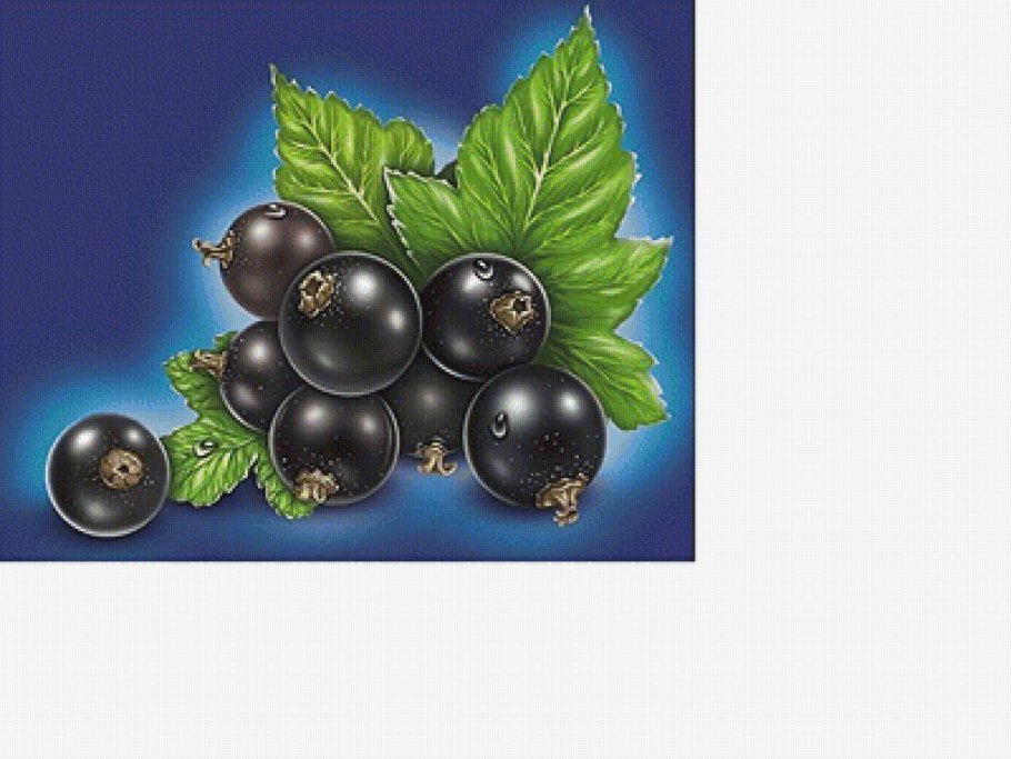 Смородина Графика