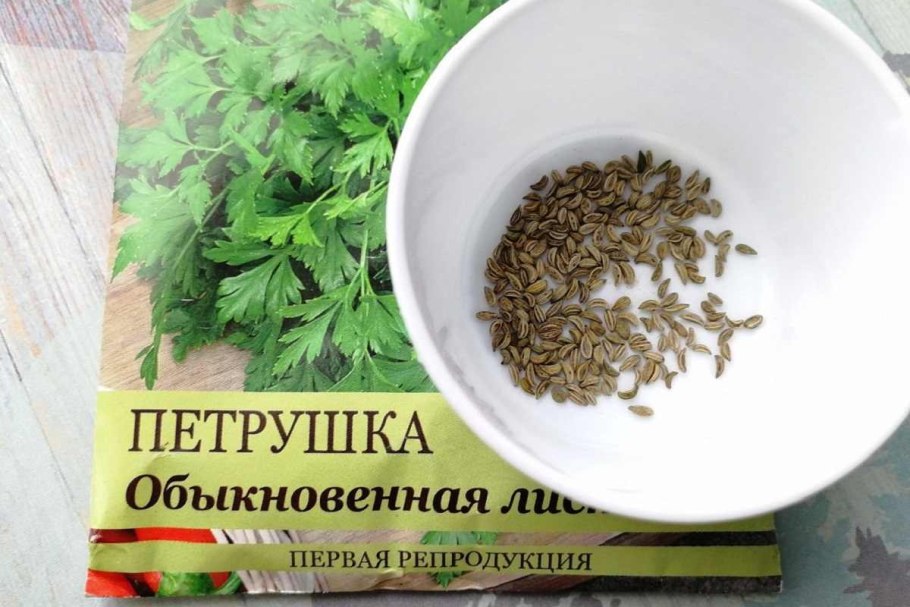 Веточка петрушки