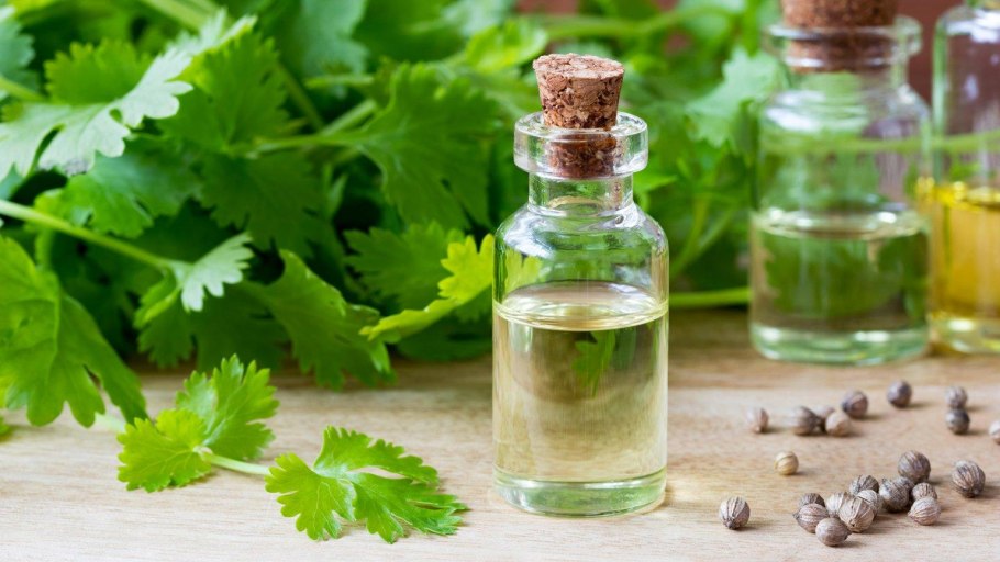 Петрушка сельдерей Пастернак