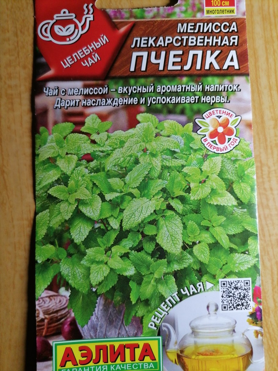 Мелисса лекарственная Пчелка