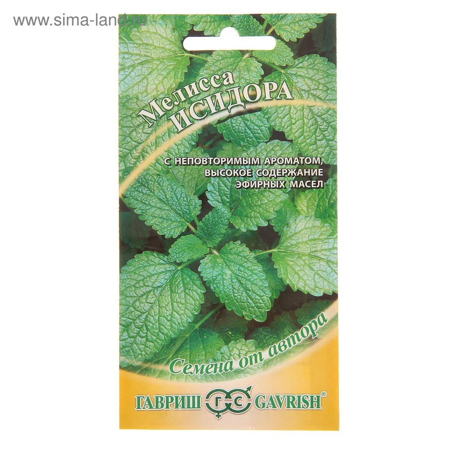 Мелиса, лайм Мелисса лимонная