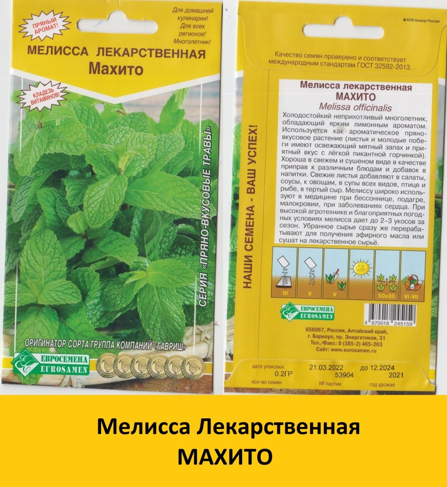 Мята Мелисса лимонник