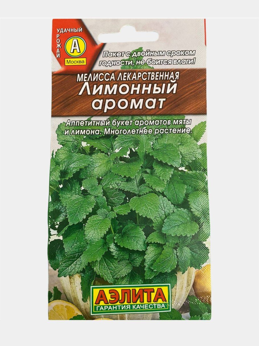 Мята перечная