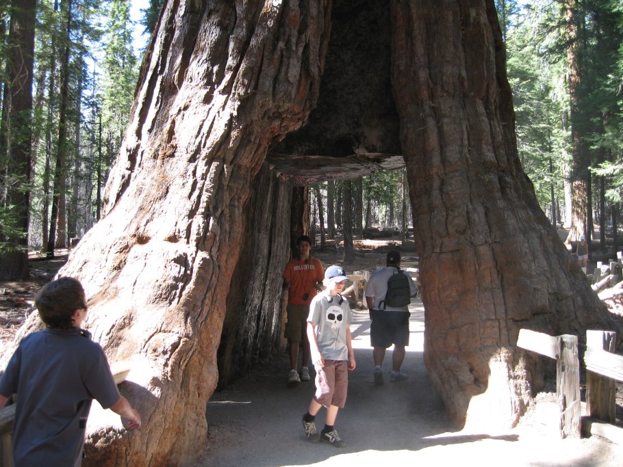 Giant Sequoia National Monument