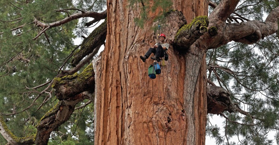 Национальный парк Секвойя альпинисты