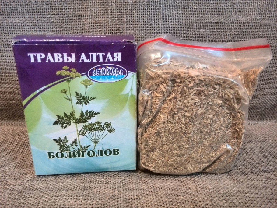 Трава болиголов в аптеке