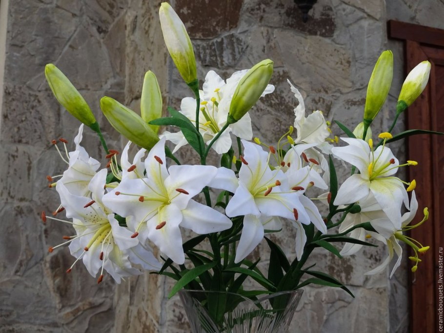 Лилия "Ориентал Диззи