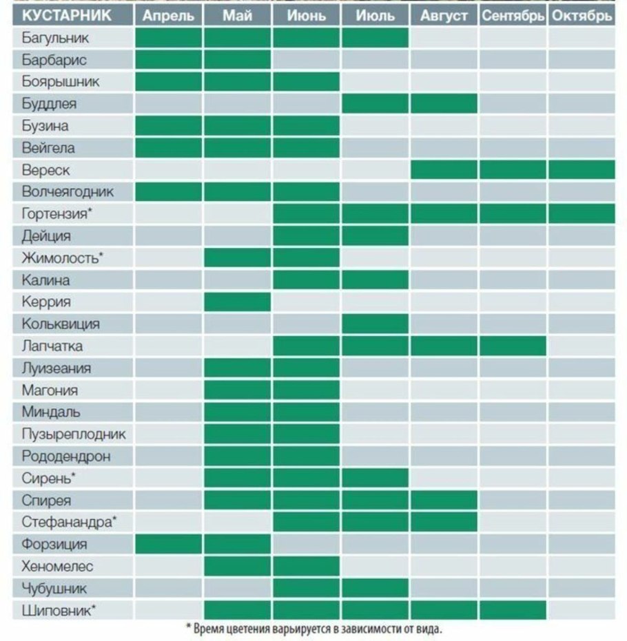 Таблица цветения деревьев и кустарников