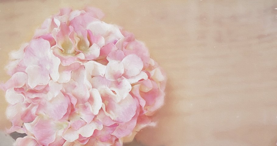 Пион Элеонор Ботанический сад