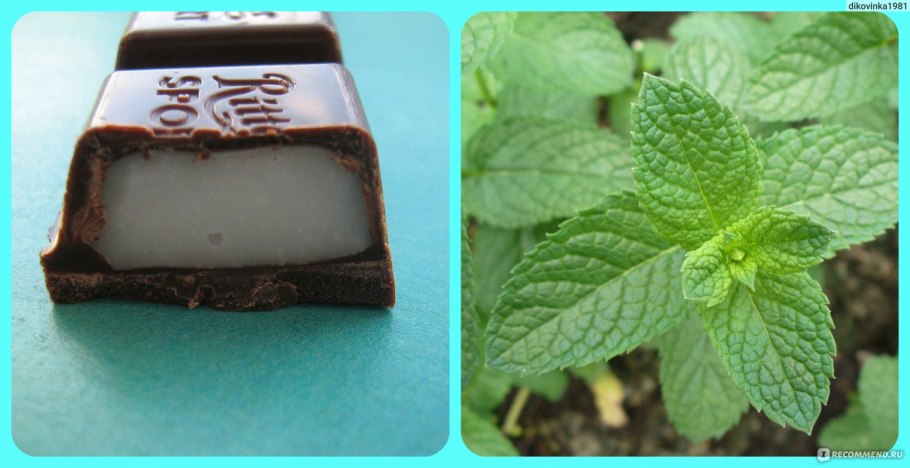 Блэкберн шоколад мята