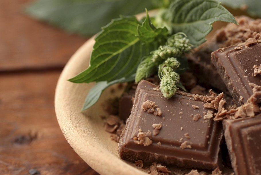 Листья мяты в шоколаде