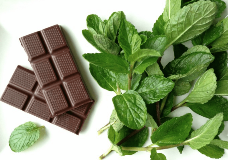 Мята 'Chocolate'