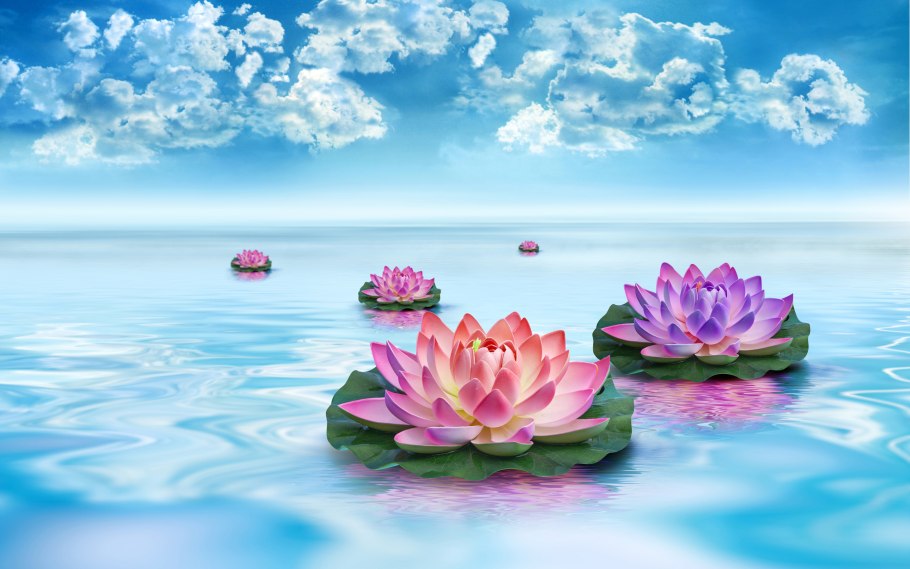 Цветы на фоне воды