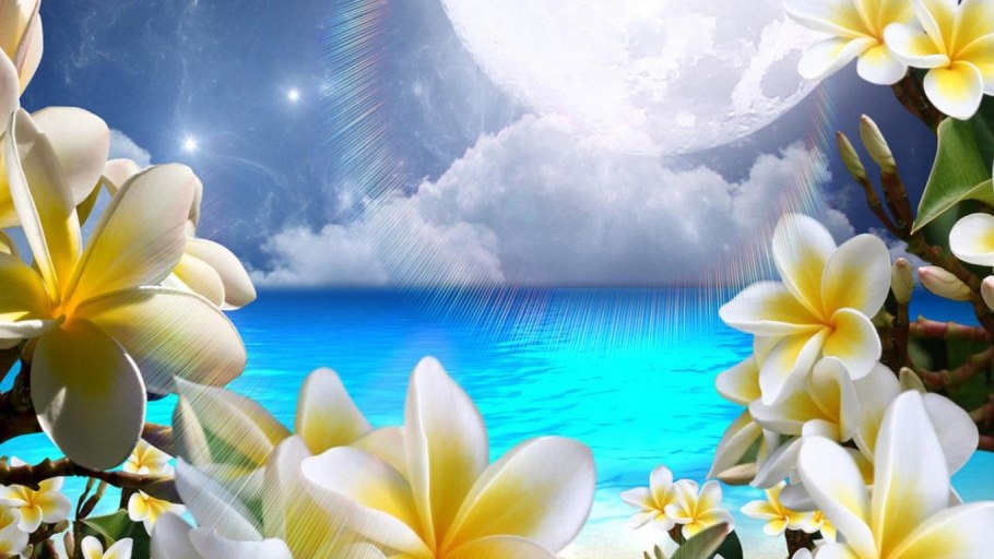 Цветы на фоне океана