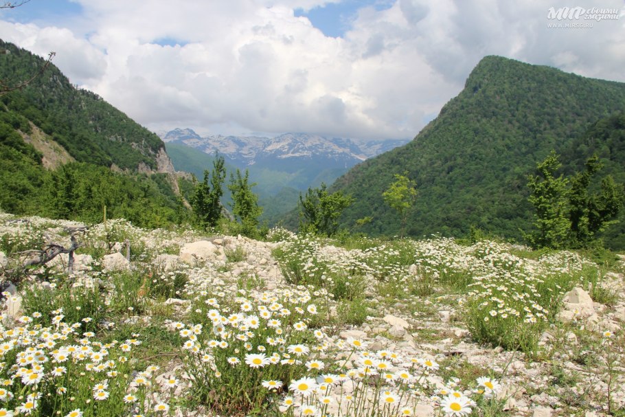Весенняя Грузия