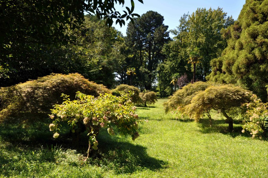 Ботанический сад Тбилиси