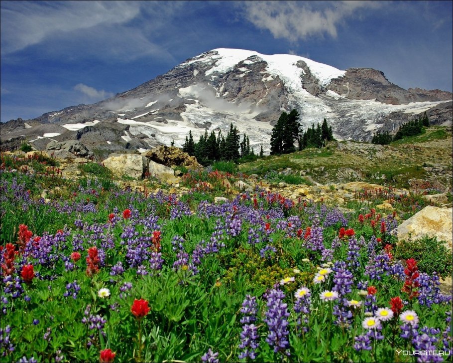 Альпийские Луга Кавказа