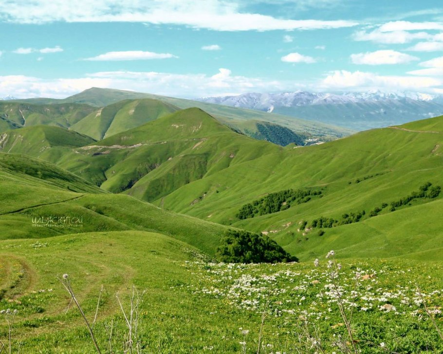 Альпийские Луга Лакии Дагестан