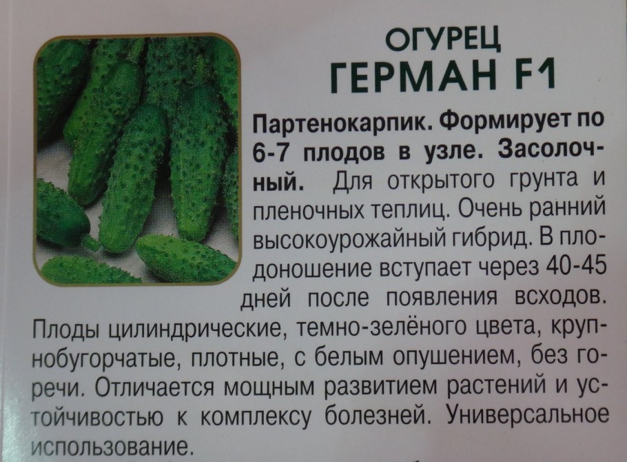 Огурцы Герман f1 характеристика