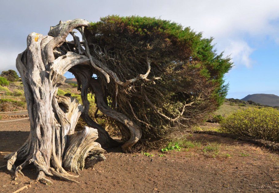 Мыс Мартьян заповедник можжевеловая роща