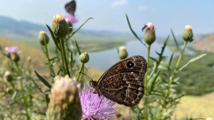 Байкальский биосферный заповедник