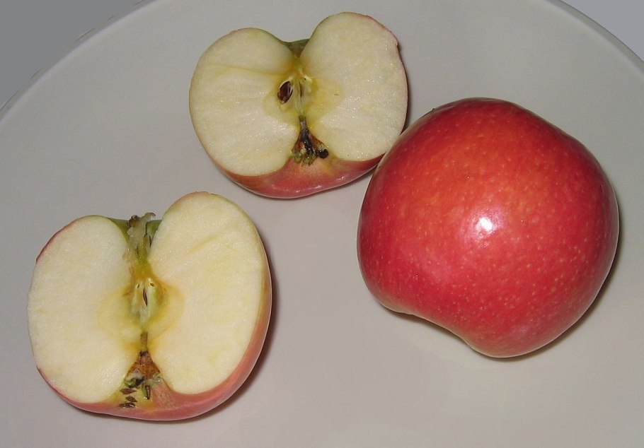 Парша монилиоз