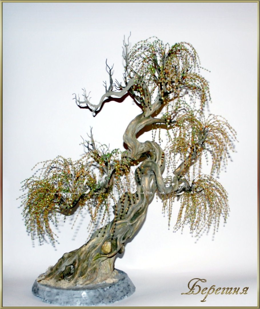 Плакучая Ива дерево бонсай