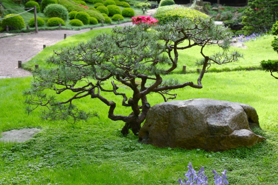 Сады ниваки Япония