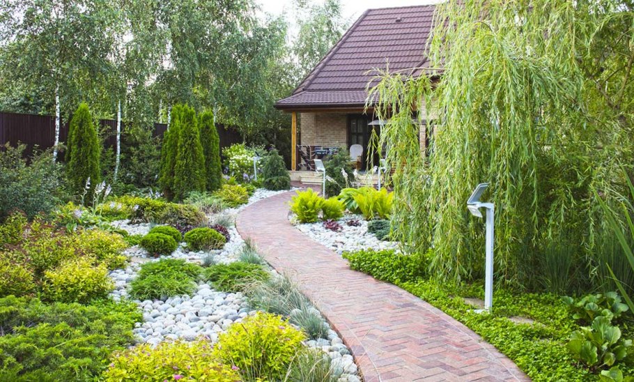 Ива цельнолистная Hakuro Nishiki