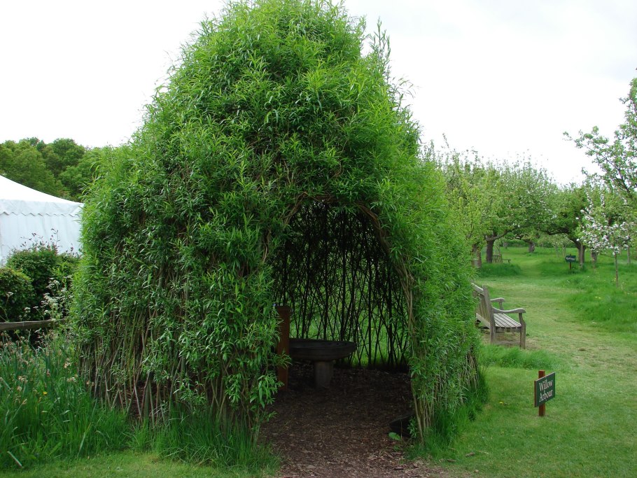 Пергола у плакучей ивы