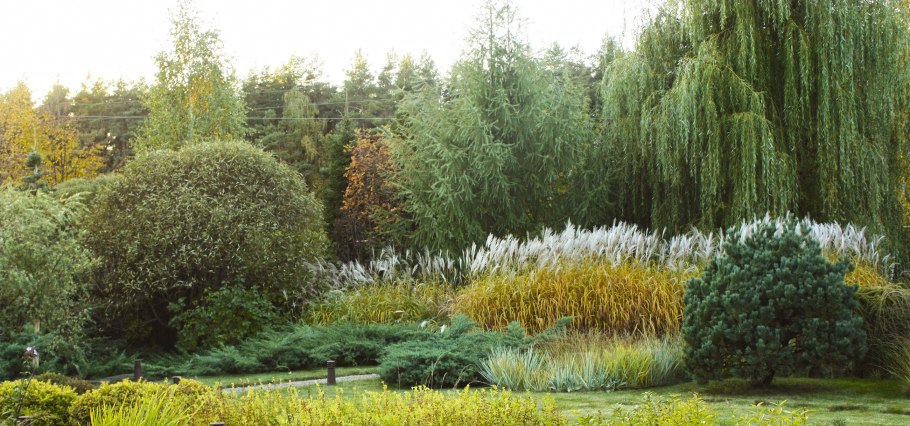 Ива Хакуро нишики