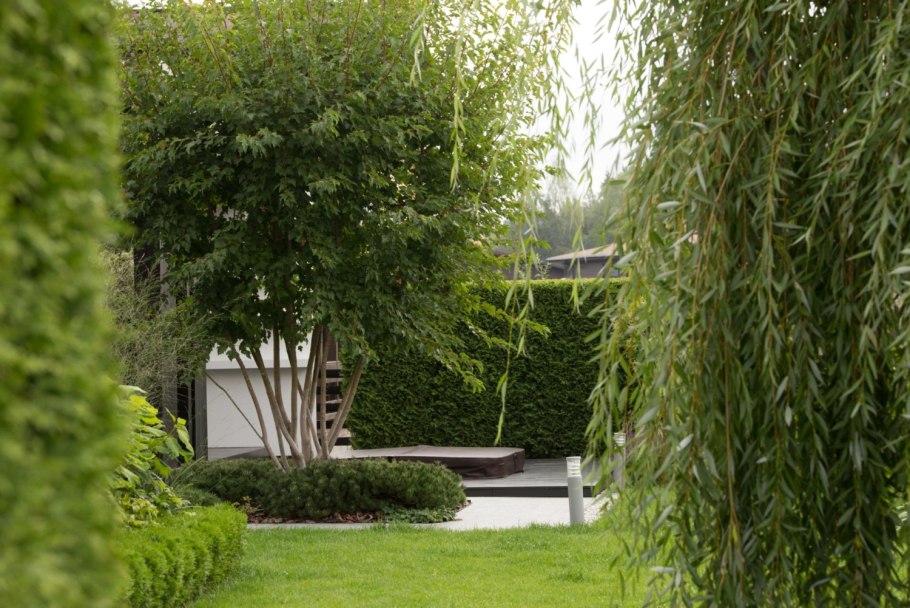 Плакучая Ива у пруда