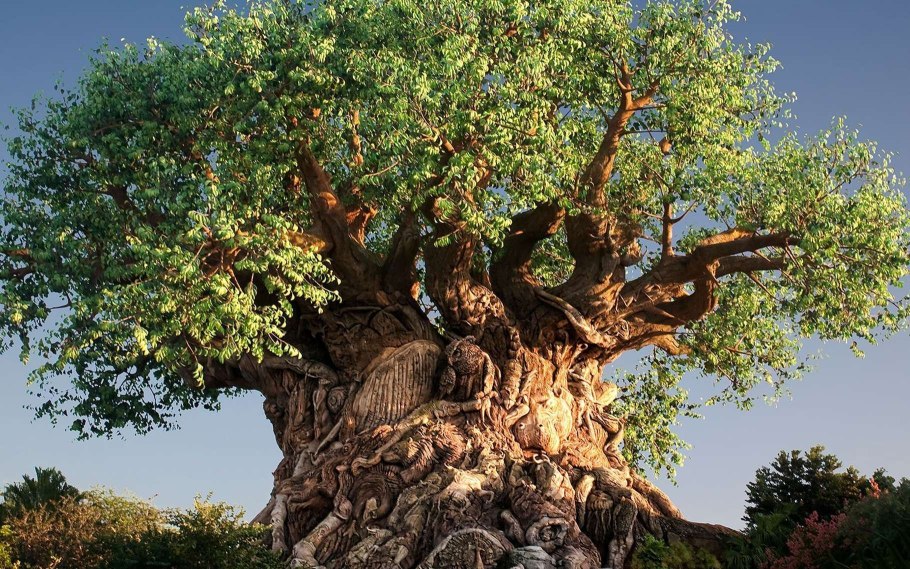 Чинара Ташкент