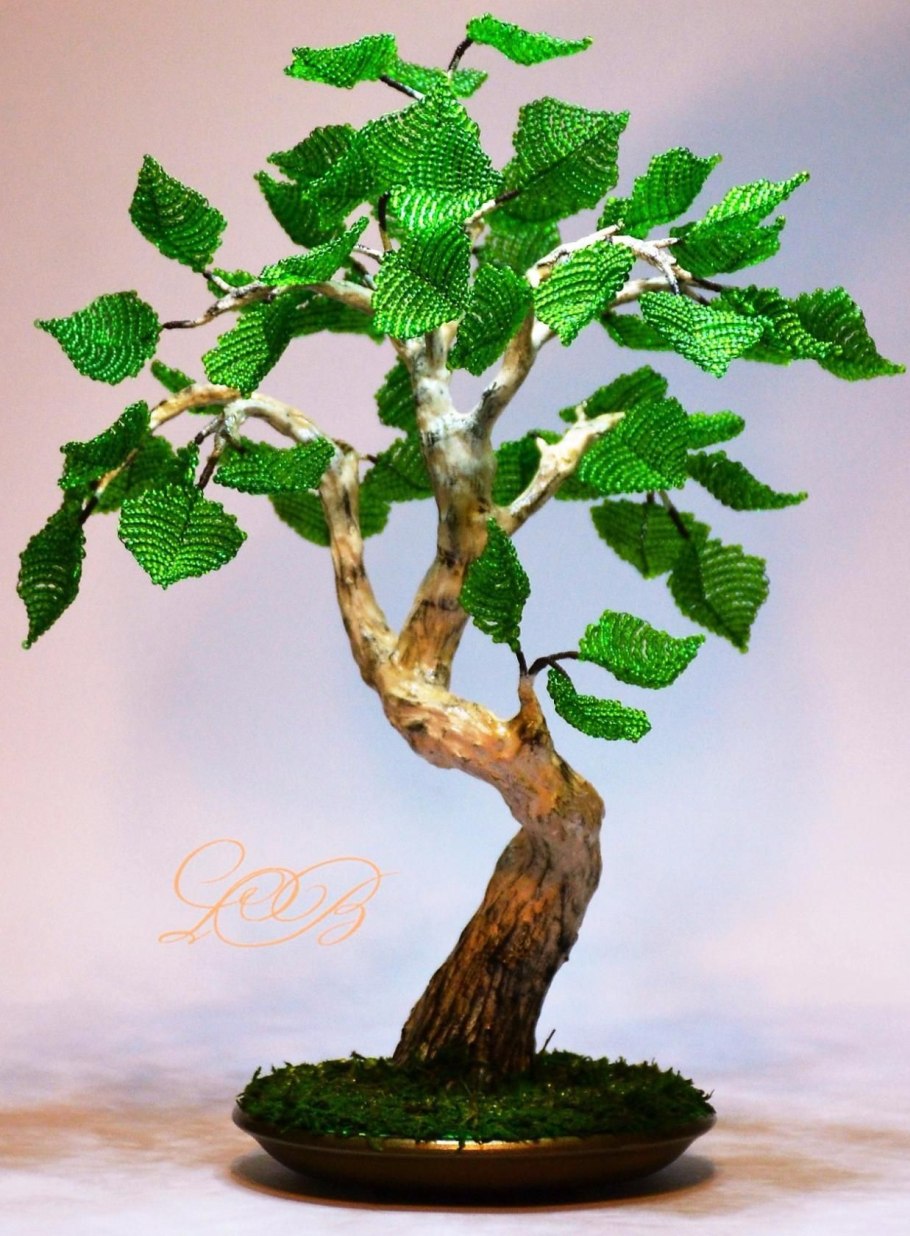 Бонсай фото покемон