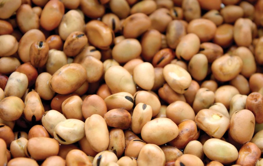 Сварочный аппарат ТСС Top MMA-250 DGV