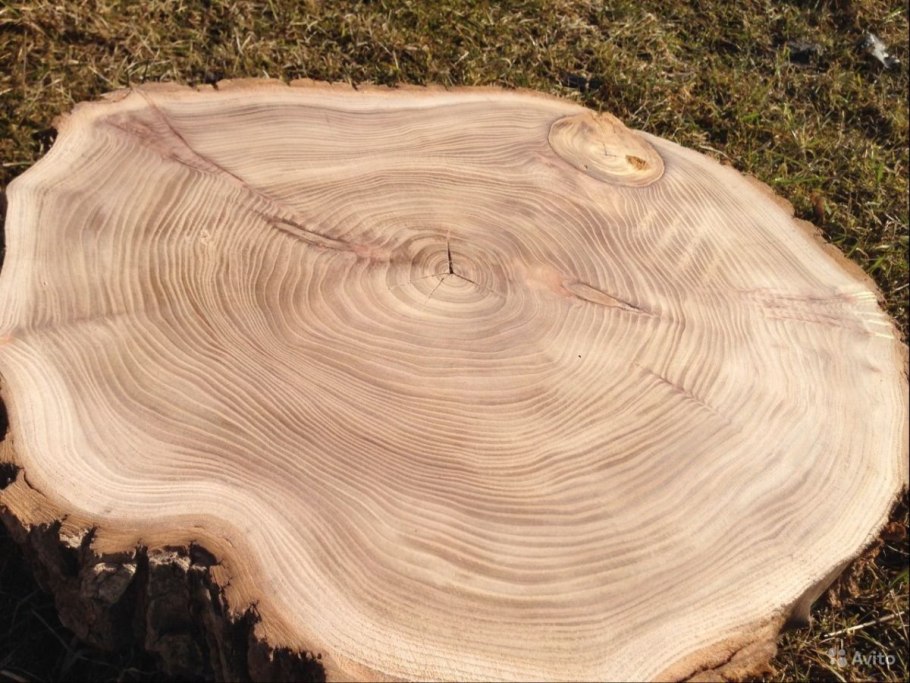 Парк Секвойя Калифорния