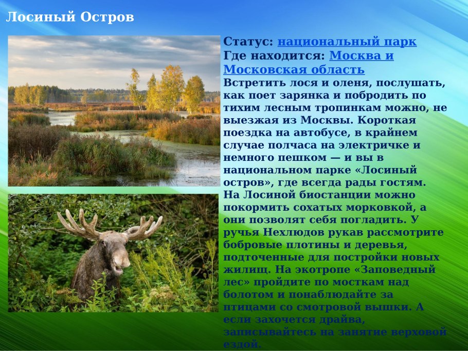 Московский заповедник Лосиный остров